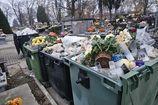 Kwiaty, które jako pierwsze trzeba wyrzucić z cmentarzy.