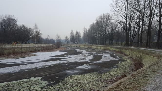 Park Grabek w Czeladzi