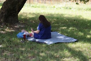 Warszawskie kocykowanie