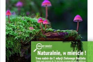 Trwa nabór wniosków do Zielonego Budżetu dla Lublina