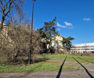 Najstarszy park miejski w Bydgoszczy zostanie odnowiony! Zmieni się nie do poznania