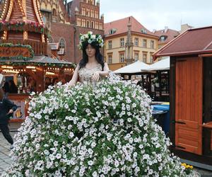 Jarmark Świętojański już działa! Zobacz, jak wygląda teraz wrocławski Rynek