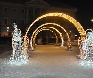Świąteczne iluminacje i choinki w centrum Kielc