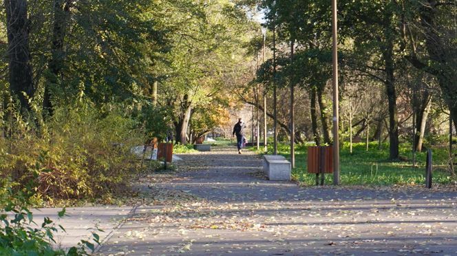 Park Ludowy w listopadowej odsłonie!