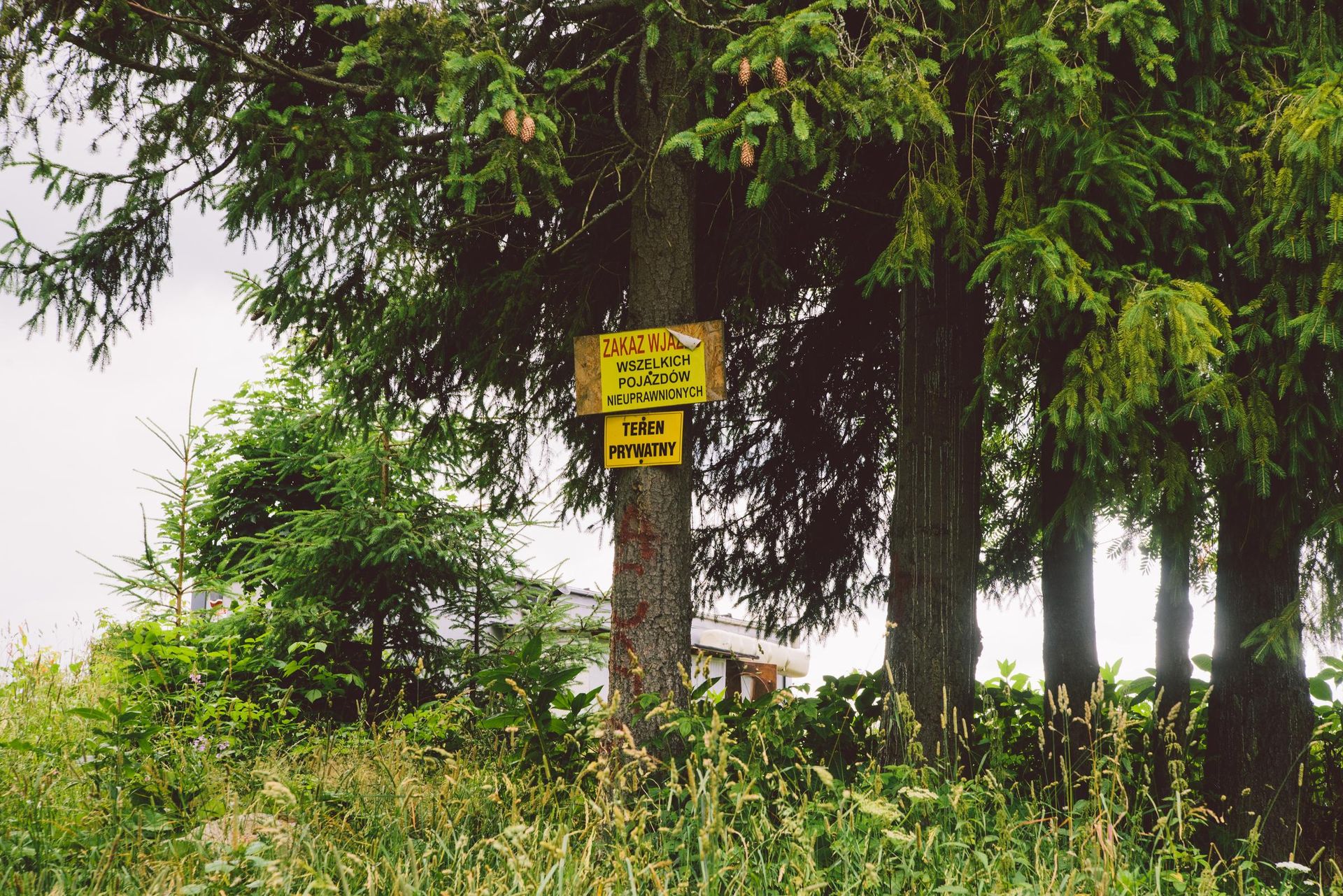Mikrodomek na Antałówce, Zakopane