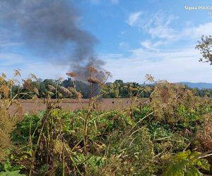 Przeklęty samolot rozbił się trzeci raz