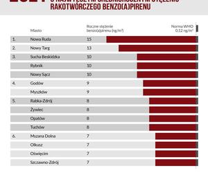 Polski Alarm Smogowy 2022. Ranking zanieczyszczonych miast
