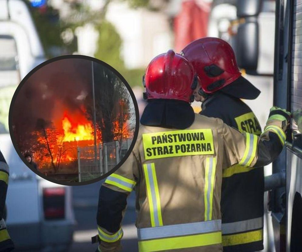 Pożar dwóch pociągów pod Poznaniem