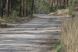 Zerwali go z „Gierkówki” położą pod Bełchatowem! Asfalt z recyklingu załata niejedną dziurę!  