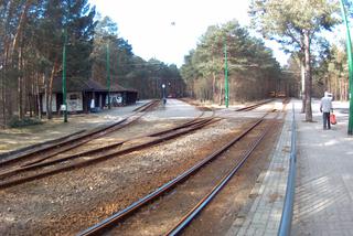 Tramwaje wracają do pętli Las Gdański! W Babiej Wsi ruch nadal wstrzymany