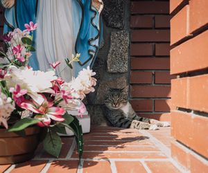 To najpiękniejsza wieś w woj. warmińsko-mazurskim. Zwyciężyła w ważnym konkursie