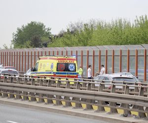 Warszawa sparaliżowana! Karambol po potrąceniu dzika. Kosmiczny korek aż do Marsa