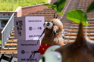 Co robić latem w Olsztynie? Najlepsze wydarzenia letniego sezonu