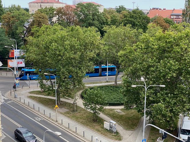 Wrocław. 15 lat "libacji na skwerku"