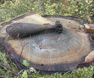 Grzybiarz w świętokrzyskich lasach znalazł niewybuch