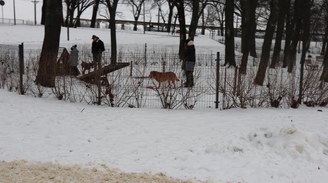 Park Ludowy 