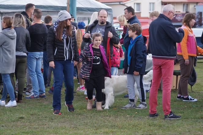 Piknik Wiejskiej Żywności, czyli radosne biesiadowanie w Fordonie [ZDJĘCIA] 