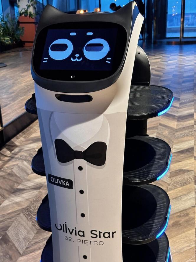 Roboty z Gdańska robią furorę wśród klientów restauracji. Kelnerzy na początku się ich bali [ZDJĘCIA]