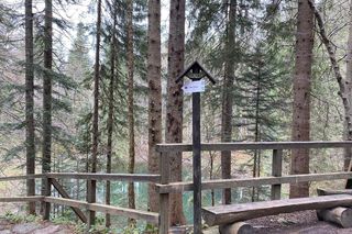Beskidzkie szlaki zamknięte! Remont 'Górnego Płaju' zaczyna się we wrześniu. Ile potrwa?
