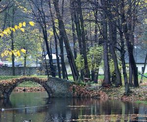 Park przy zamku w Suchej Beskidzkiej