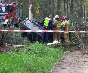 36-latek nie żyje! Jego citroen roztrzaskał się o drzewo pod Toruniem