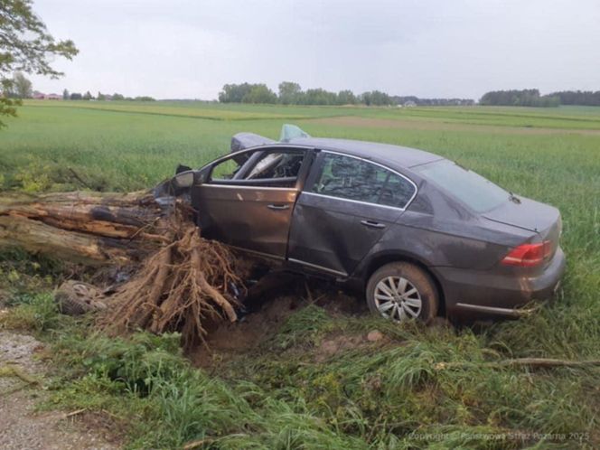 Tragedia pod Skierniewicami. 28-letni kierowca zginął po zderzeniu z drzewem