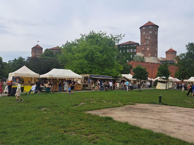 Smoczy Piknik Rodzinny 2025 w Krakowie