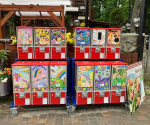 Krynica Morska to popularne miejsce na urlop. Jakie sątu ceny?