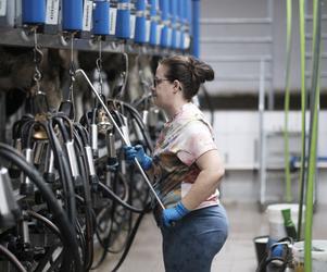 Rolnicy. Podlasie, odcinek 30 (sezon IV). Emisja w niedzielę 24 lipca 2022 roku