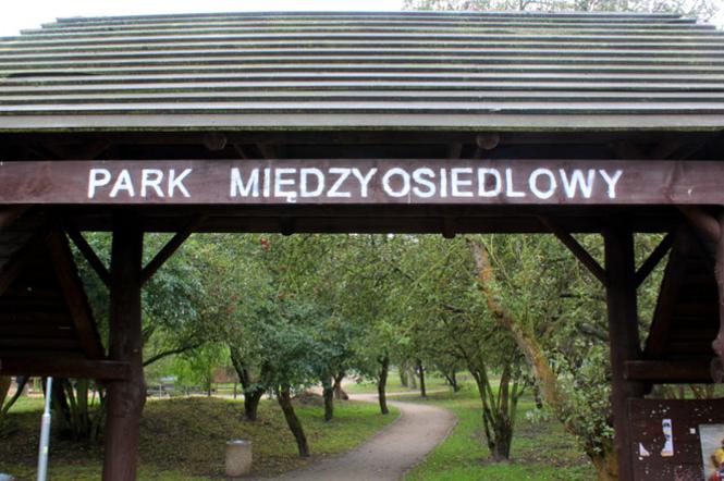 Park przy ul. Kutrzeby