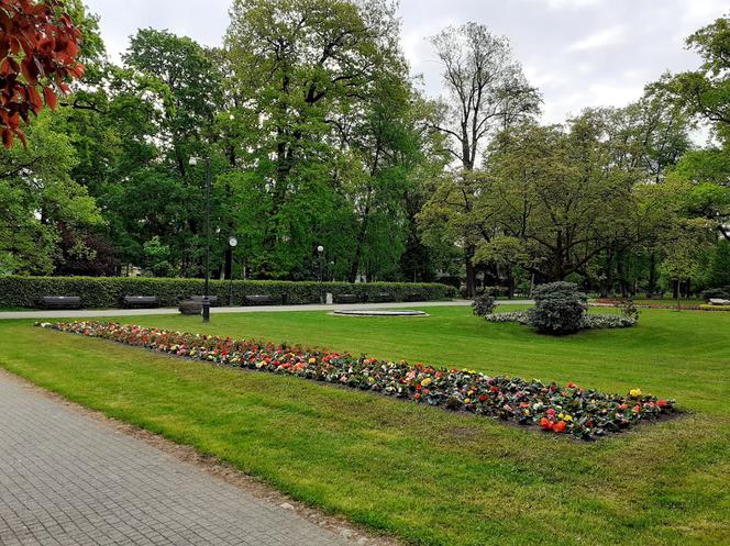 Trwa wiosenne sadzenie kwiatów w Nowym Sączu