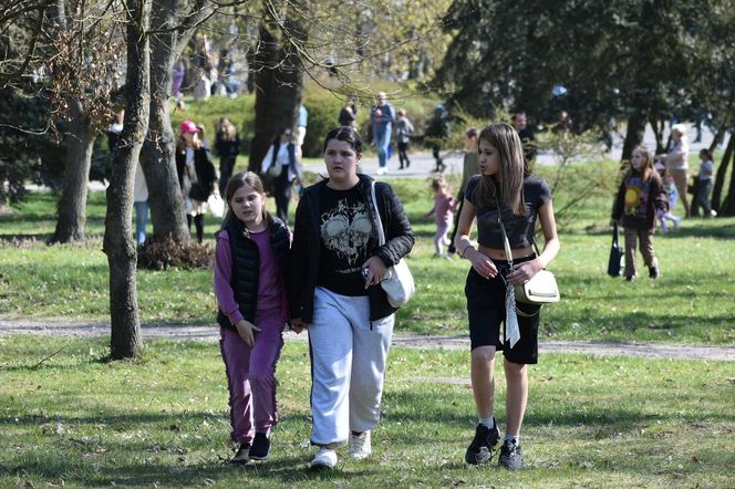 Miasto Piła