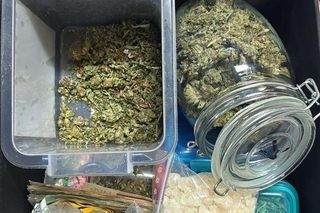 Pseudokibic z Gdańska zatrzymany