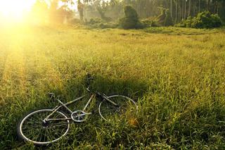 Makabryczna ZBRODNIA w Grabinach, 65-letni rowerzysta miał zmiażdżoną twarz [AKTUALIZACJA]