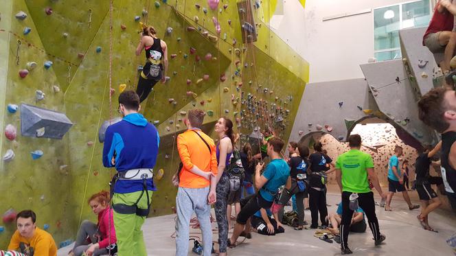 Akademickie Mistrzostwa Polski we wspinaczce sportowej