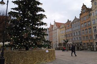 Zimowo i świątecznie w Gdańsku. Zobaczcie nasze zdjęcia!