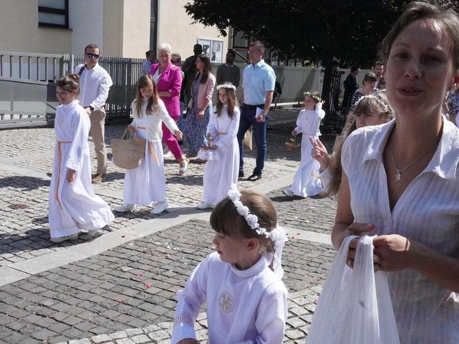 Procesja Bożego Ciała w Katowicach