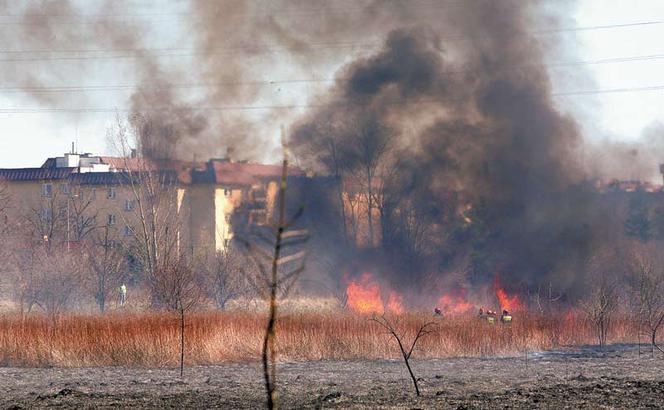 6 hektarów trawy w ogniu!