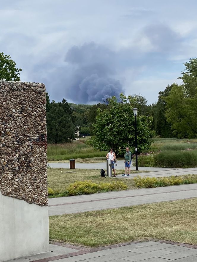 Pożar w Siemianowicach Śląskich