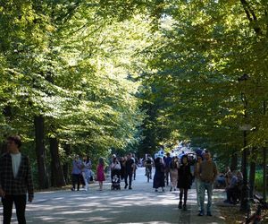 tłumy spokojnie spacerujących spacerowiczów w Pszczynie ZDJĘCIA