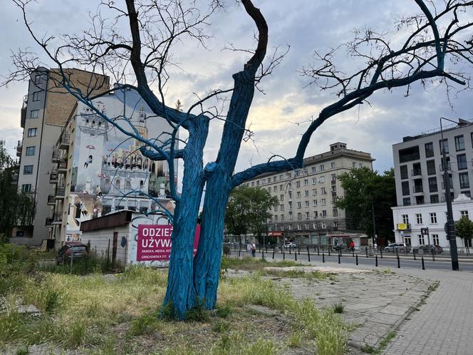 Niebieskie drzewo na rondzie Wiatraczna