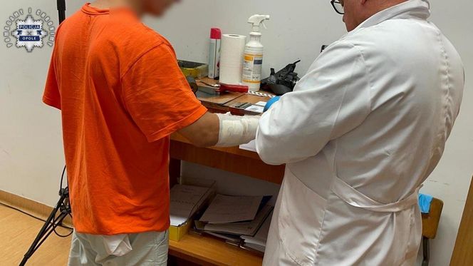 28-latek odkręcił gaz i zabił dwa psy. Jego była partnerka ledwo uszła z życiem!