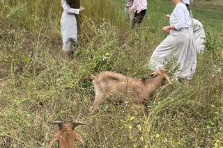 Niedzielna z lnem w Muzeum Wsi Lubelskiej. Trudno w to uwierzyć, że to taka niesamowita roślina