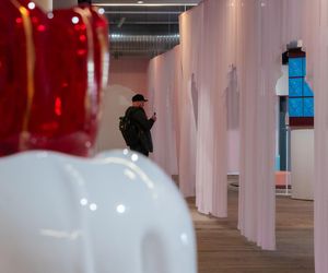 Łódź Design Festival / must have 2025
