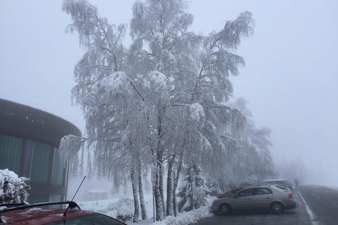 Na Podkarpaciu zrobiło się biało