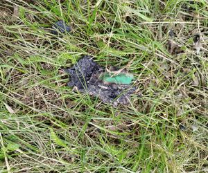 Ślady zbrodni na drodze, spalone ubrania ofiary spod Grójca. Sąsiedzi: Myśleliśmy, że to mafijne porachunki