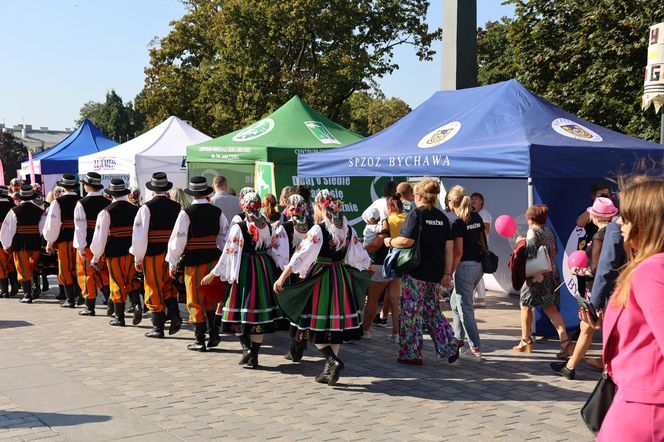 W centrum Lublina królował róż! Przez miasto przeszedł Marsz Różowej Wstążki