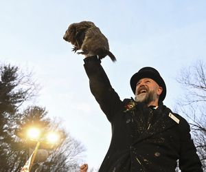 Świstak przepowiedział sześć tygodni zimy