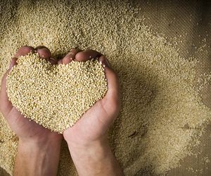 Ma mnóstwo żelaza, ale kochamy je za coś innego. Złoto Inków to zdrowotny skarb