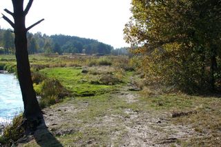 Brzóza Królewska - wieś na Podkarpaciu, która początkowo była łowiskiem leśnym. Jej tereny były areną walk między dwoma magnatami